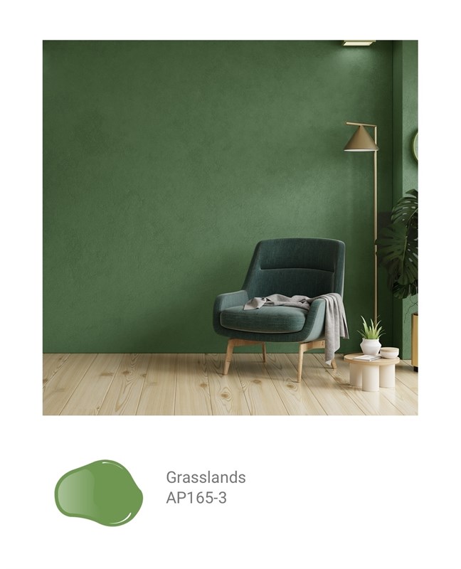 Краска моющаяся ультра-матовая интерьерная LOGGIA ROYAL PAINT WASHABLE PAINT 4993