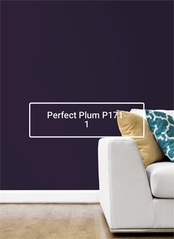 Краска моющаяся ультра-матовая интерьерная LOGGIA ROYAL PAINT WASHABLE PAINT 5007