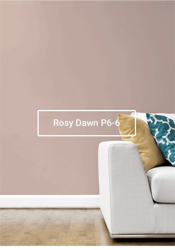 Краска моющаяся ультра-матовая интерьерная LOGGIA ROYAL PAINT WASHABLE PAINT 5008