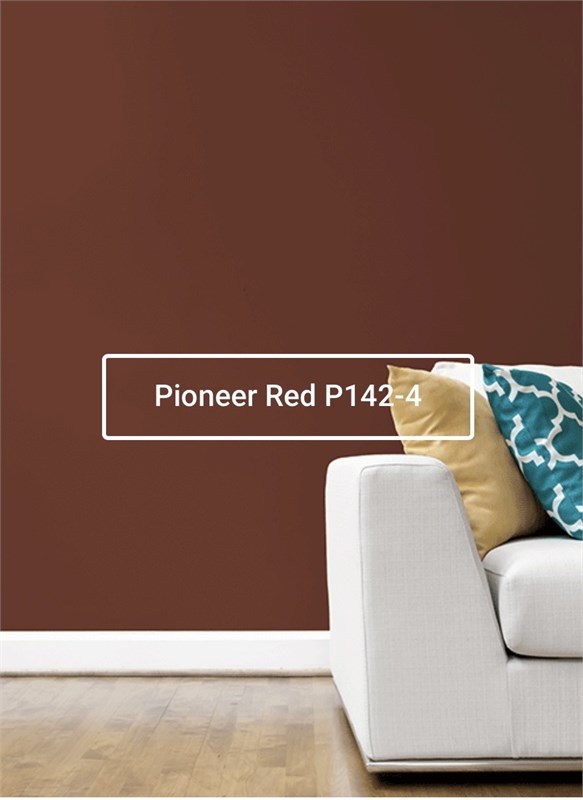 Краска моющаяся ультра-матовая интерьерная LOGGIA ROYAL PAINT WASHABLE PAINT 5014