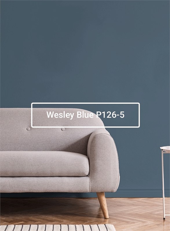 Краска моющаяся ультра-матовая интерьерная LOGGIA ROYAL PAINT WASHABLE PAINT 5019