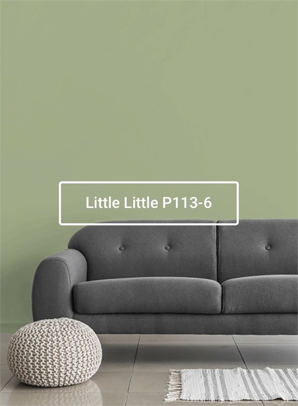 Краска моющаяся ультра-матовая интерьерная LOGGIA ROYAL PAINT WASHABLE PAINT 5028