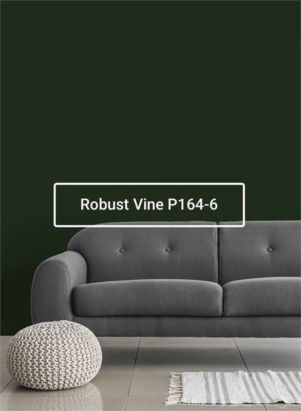 Краска моющаяся ультра-матовая интерьерная LOGGIA ROYAL PAINT WASHABLE PAINT 5029