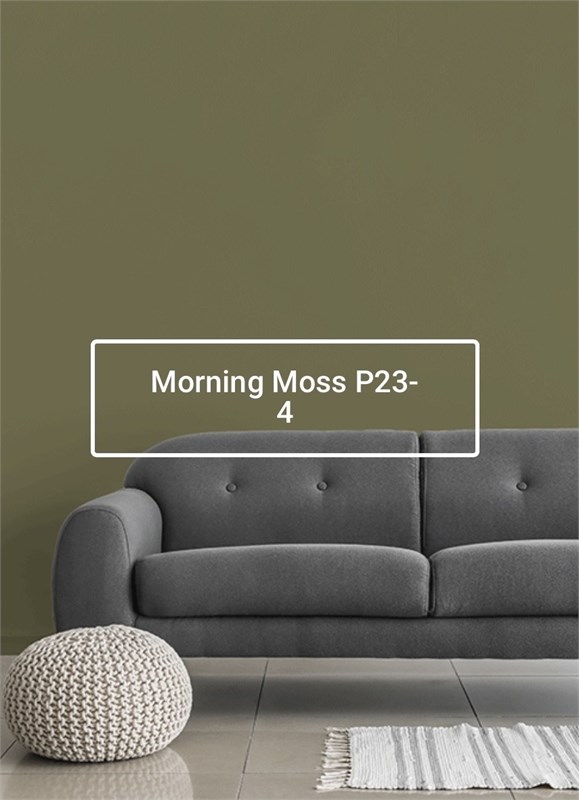 Краска моющаяся ультра-матовая интерьерная LOGGIA ROYAL PAINT WASHABLE PAINT 5033_39ADE