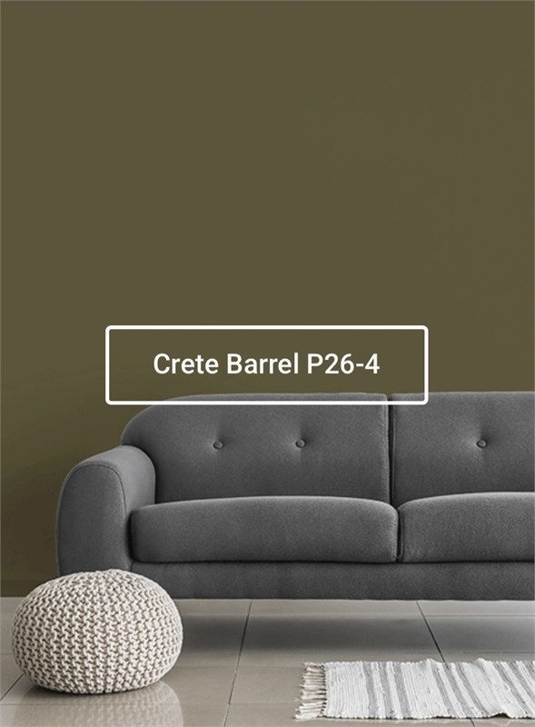 Краска моющаяся ультра-матовая интерьерная LOGGIA ROYAL PAINT WASHABLE PAINT 5038