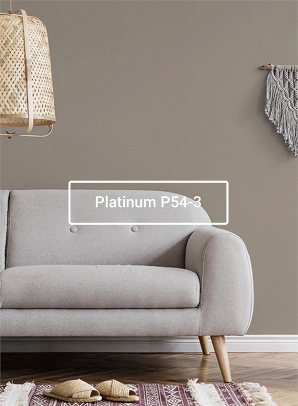 Краска моющаяся ультра-матовая интерьерная LOGGIA ROYAL PAINT WASHABLE PAINT - копия 5040