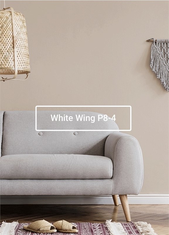 Краска моющаяся ультра-матовая интерьерная LOGGIA ROYAL PAINT WASHABLE PAINT 5044