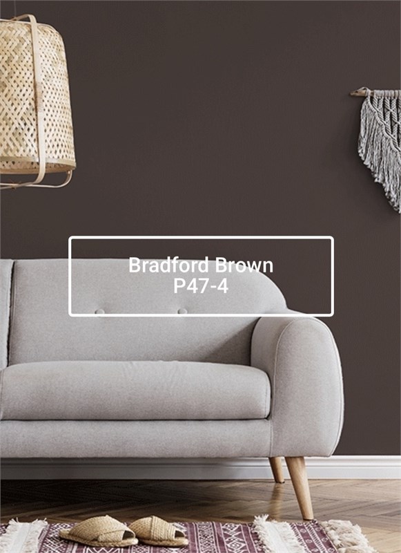 Краска моющаяся ультра-матовая интерьерная LOGGIA ROYAL PAINT WASHABLE PAINT 5047