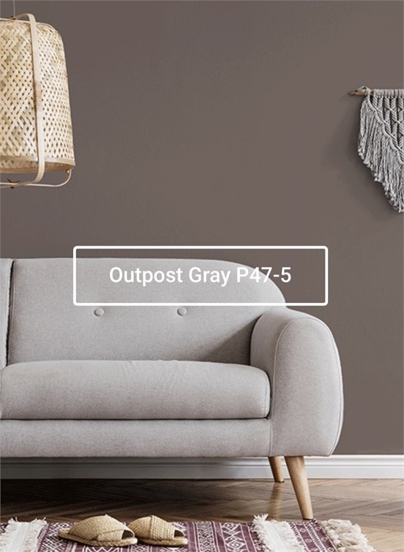 Краска моющаяся ультра-матовая интерьерная LOGGIA ROYAL PAINT WASHABLE PAINT 5048