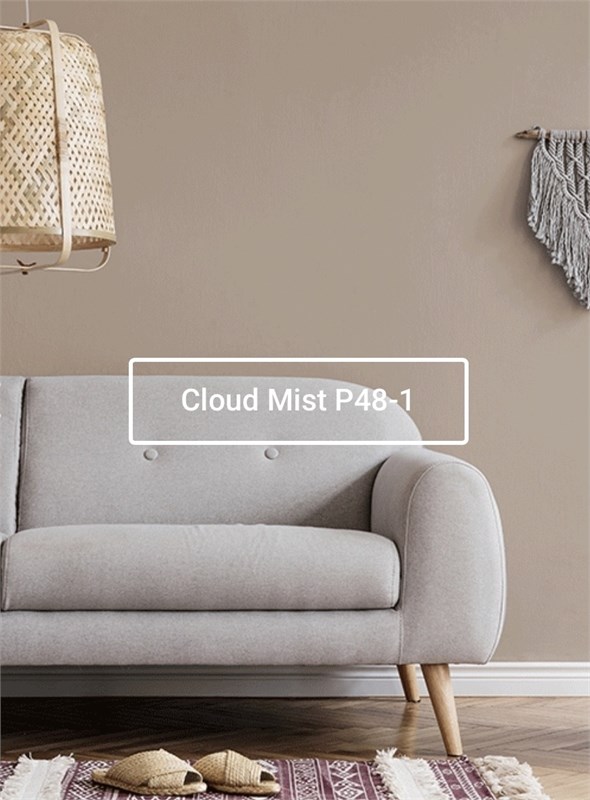 Краска моющаяся ультра-матовая интерьерная LOGGIA ROYAL PAINT WASHABLE PAINT 5049