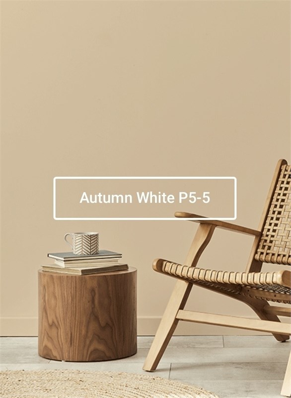 Краска моющаяся ультра-матовая интерьерная LOGGIA ROYAL PAINT WASHABLE PAINT 5060_985B7