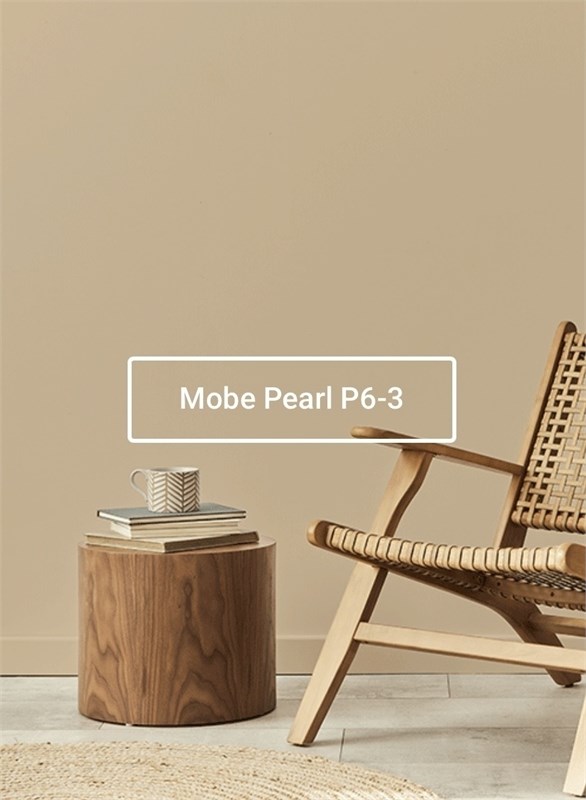 Краска моющаяся ультра-матовая интерьерная LOGGIA ROYAL PAINT WASHABLE PAINT 5061