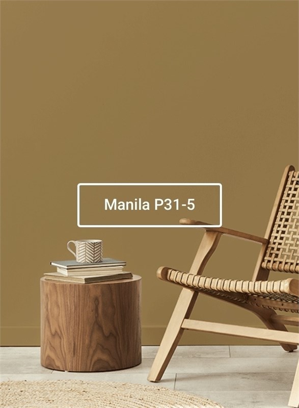 Краска моющаяся ультра-матовая интерьерная LOGGIA ROYAL PAINT WASHABLE PAINT 5064