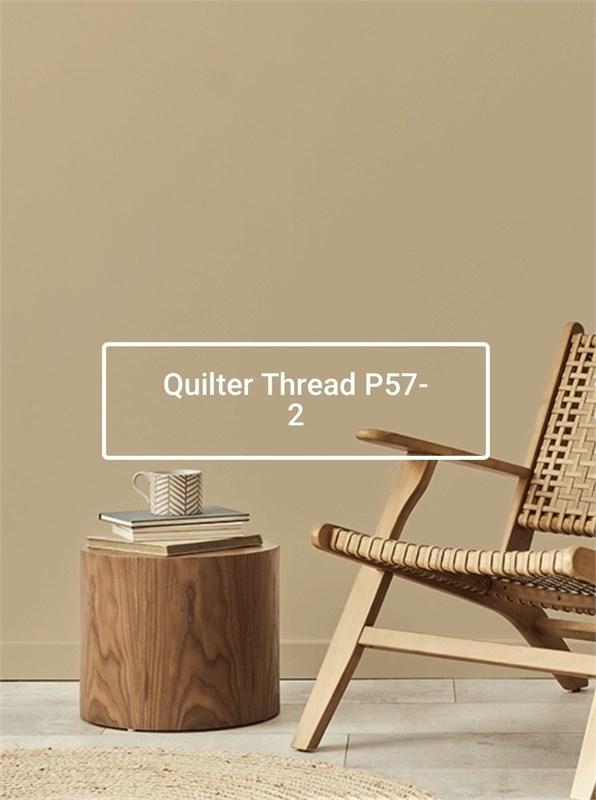 Краска моющаяся ультра-матовая интерьерная LOGGIA ROYAL PAINT WASHABLE PAINT 5066