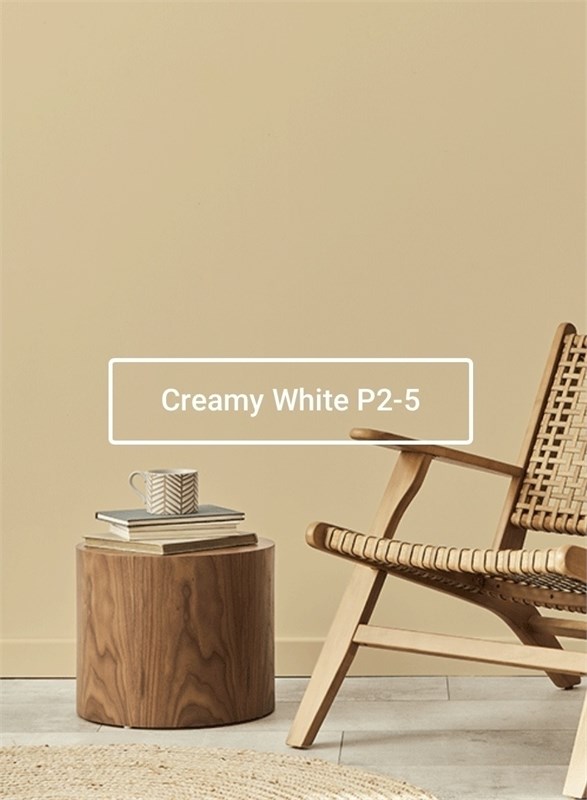 Краска моющаяся ультра-матовая интерьерная LOGGIA ROYAL PAINT WASHABLE PAINT 5080_69EDB