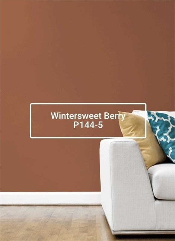 Краска моющаяся ультра-матовая интерьерная LOGGIA ROYAL PAINT WASHABLE PAINT 5081