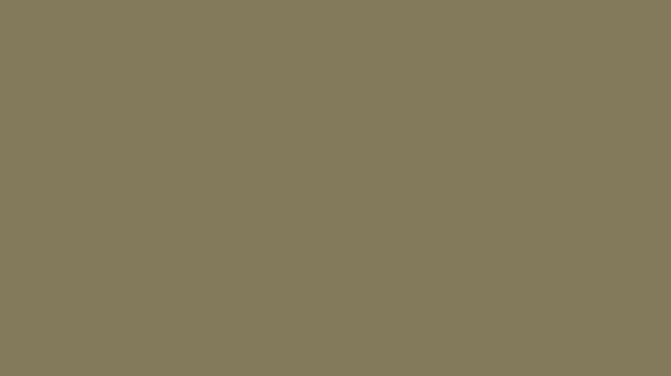 Декоративное покрытие DECORAZZA FLUIDO METALLICO  FM-ORL 5913