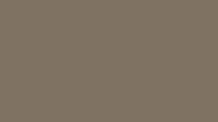 Декоративное покрытие DECORAZZA FLUIDO METALLICO  FM-BRN 5916