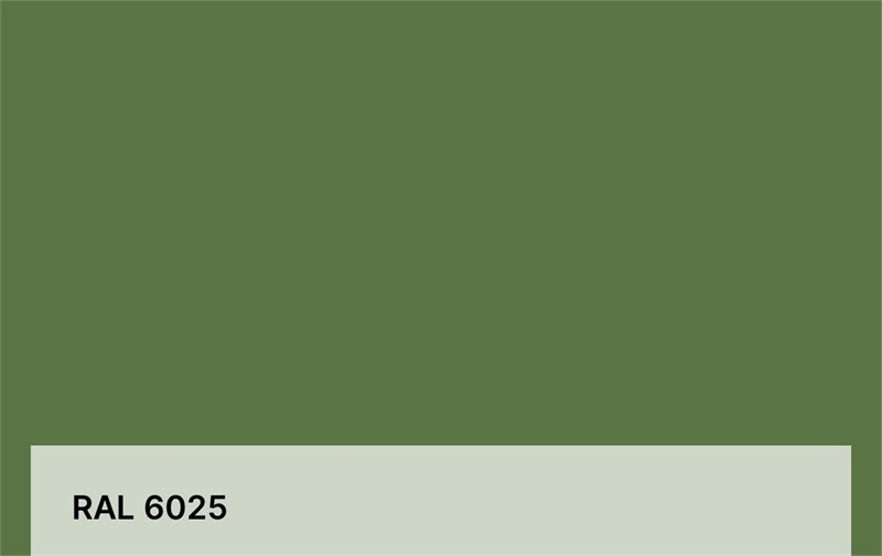 Цвет RAL 6025 6345