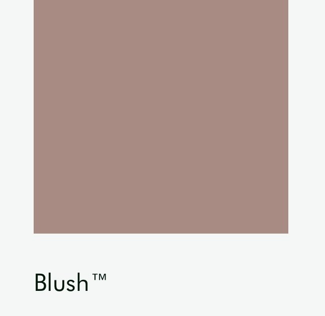 Цвет Little Greene Blush 267 6437