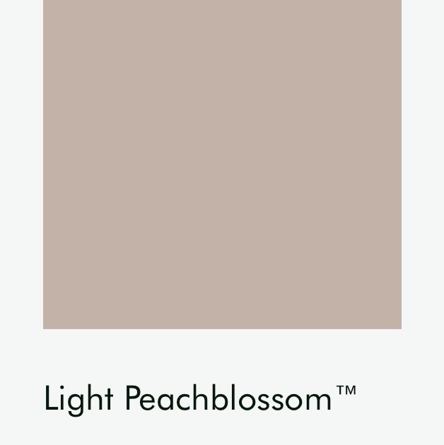 Цвет Little Greene Light Peachblossom 3 6439