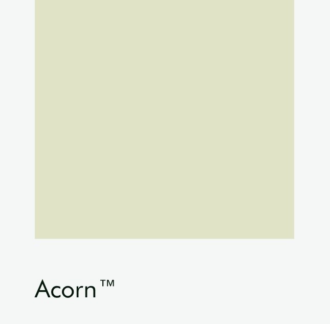 Цвет Little Greene Acorn 87 6449