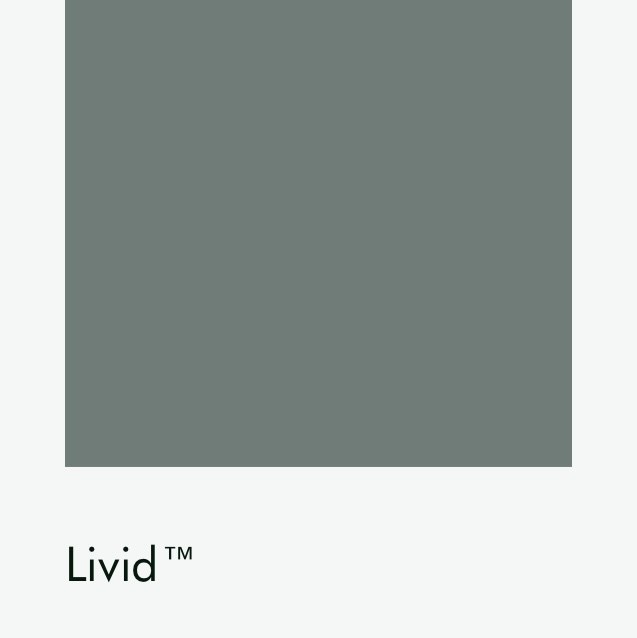 Цвет Little Greene Livid 263 6452