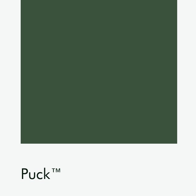 Цвет Little Greene Puck 298 6468