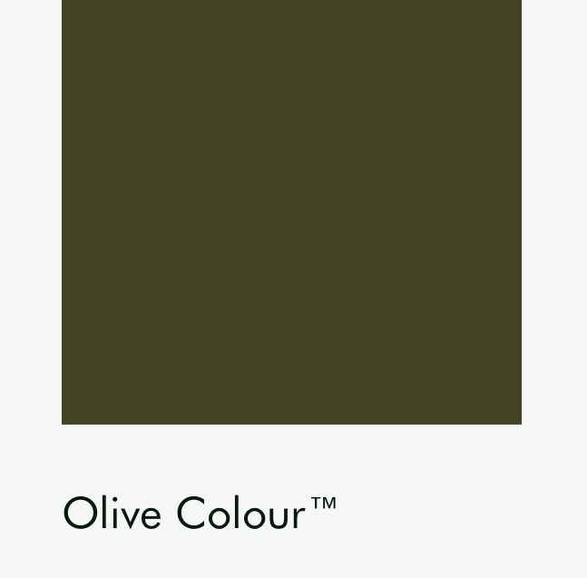 Цвет Little Greene Olive Colour 72 6473