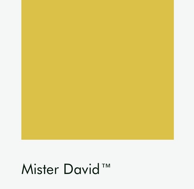 Цвет Little Greene Mister David 47 6477