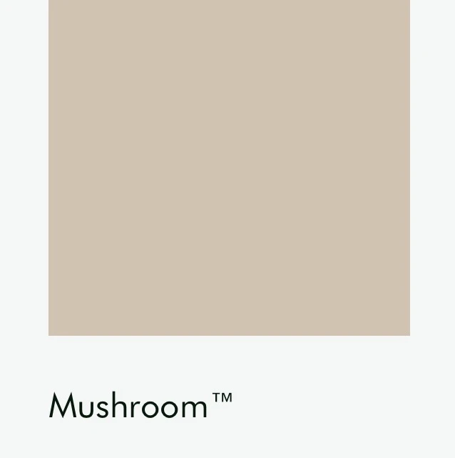 Цвет Little Greene Mushroom 142 6505