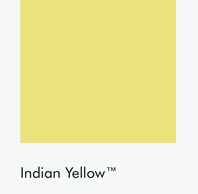 Цвет Little Greene Indian Yellow 335 6511