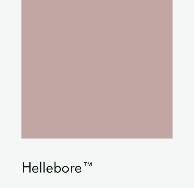 Цвет Little Greene Hellebore 275 6523