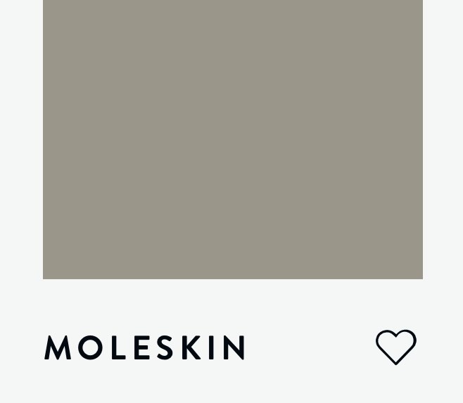 Цвет PAINT & PAPER LIBRARY PARIS MOLESKIN 218 6563