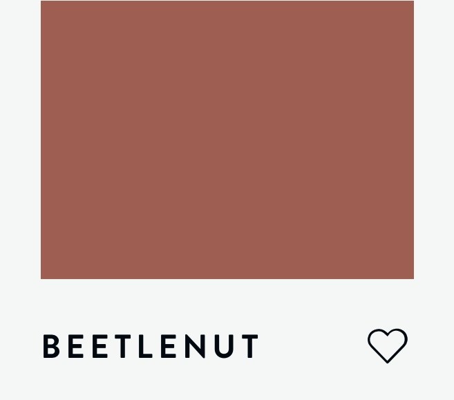 Цвет PAINT & PAPER LIBRARY PARIS BEETLENUT 413 6587