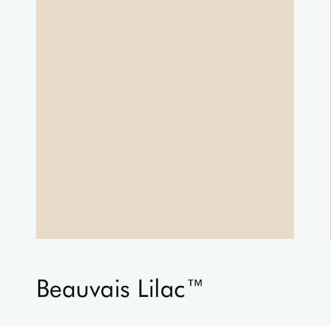 Цвет Little Greene Beauvais Lilac 29 6676