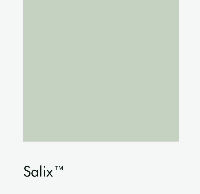 Цвет Little Greene Salix 99 6686