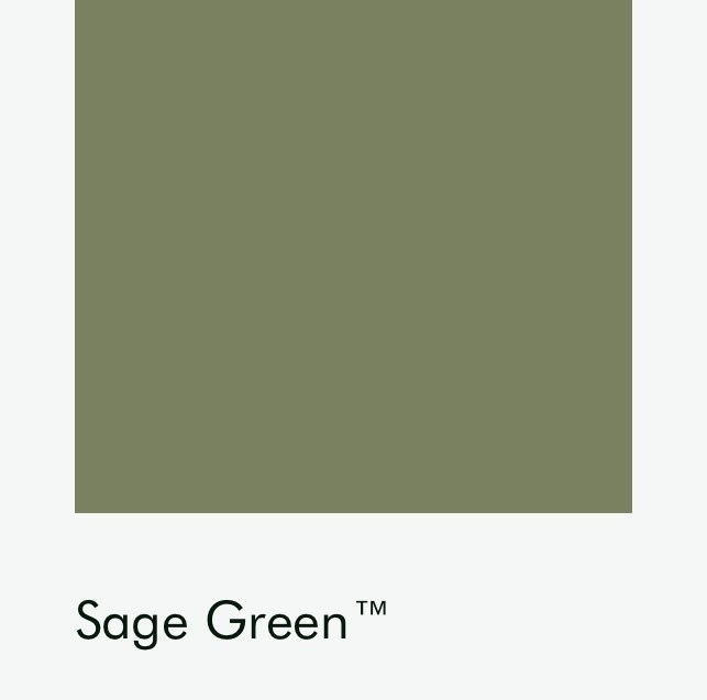 Цвет Little Greene Sage Green 80 6698