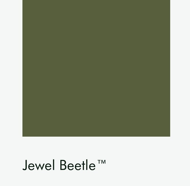 Цвет Little Greene Jewel Beetle 303 6716