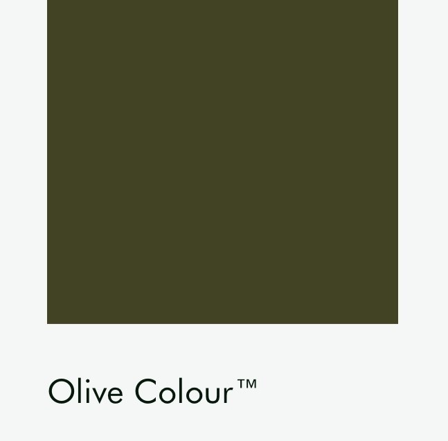 Цвет Little Greene Olive Colour 72 6717
