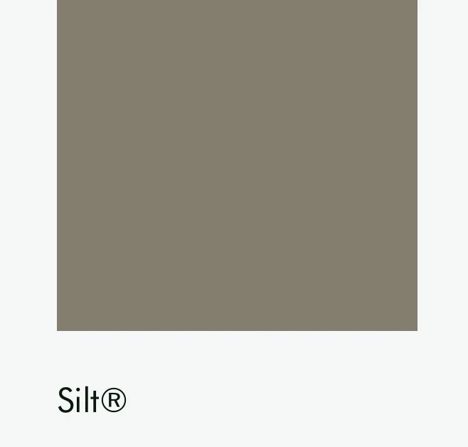 Цвет Little Greene Silt 40 6746