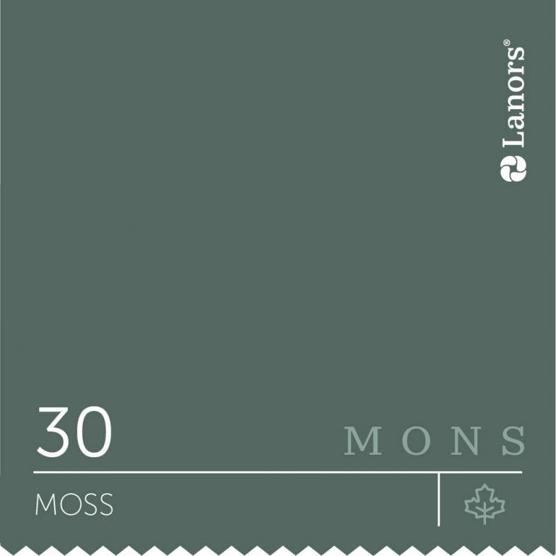 Краска Lanors Mons «Moss» Мох, 30 2086 - фото 6226
