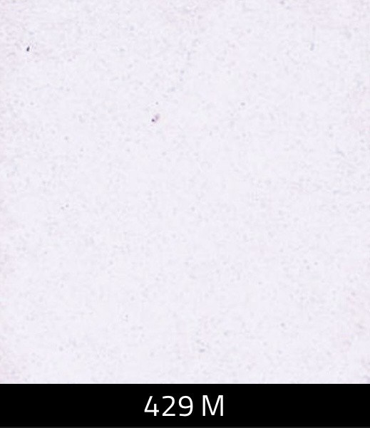 Декоративная краска с эффектом мягкой бархатистой замши VALPAINT VALRENNA  EXTRA SOFT 3806