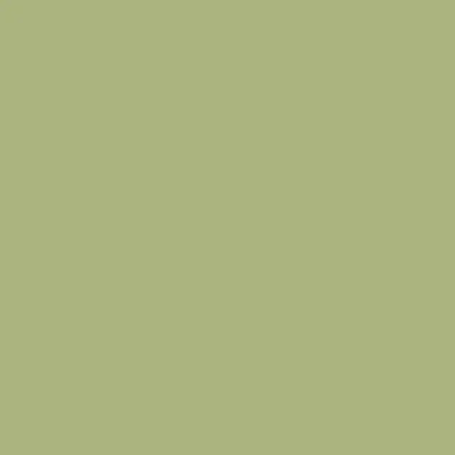 Пробник SANDERSON ACTIVE EMULSION, цвет Artichoke 4228