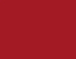 Краска LUXUS PAINT BIANCO LUSSO, цвет LX109 4506