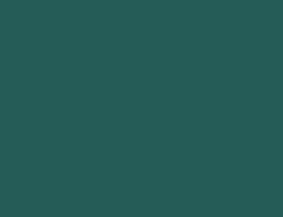 Краска LUXUS PAINT BIANCO LUSSO, цвет LX115 4512