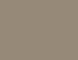 Краска LUXUS PAINT BIANCO LUSSO, цвет LX124 4521