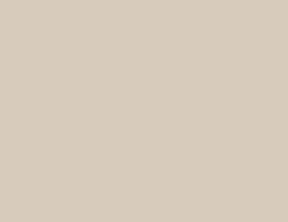 Краска LUXUS PAINT BIANCO LUSSO, цвет LX142 4539