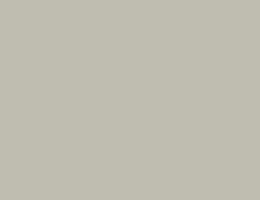Краска LUXUS PAINT BIANCO LUSSO, цвет LX144 4541