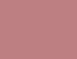 Краска LUXUS PAINT BIANCO LUSSO, цвет LX202 4599
